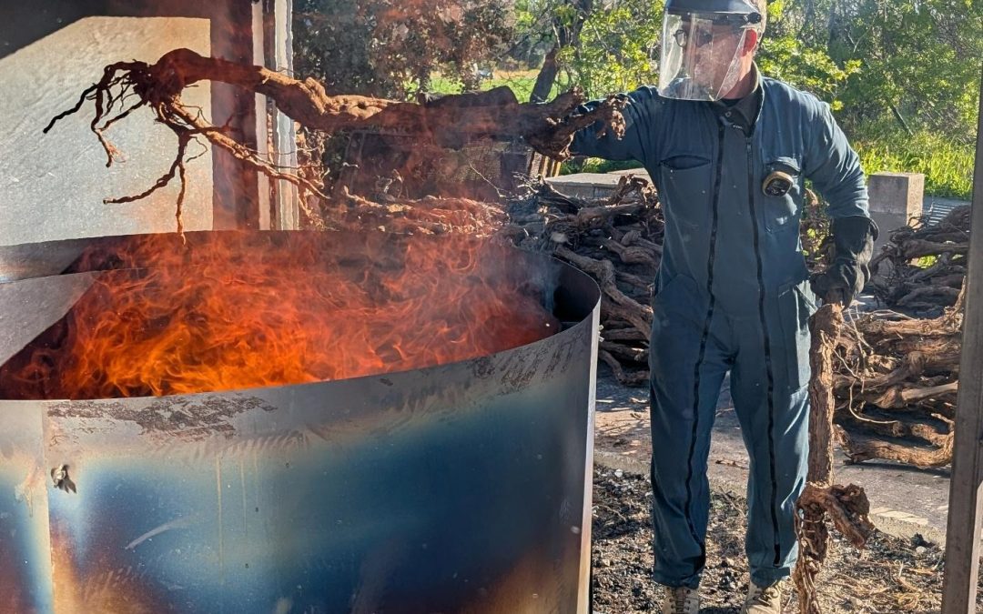 Caractérisation et modélisation d’un four à rideau de flammes pour la production de biochar de vigne